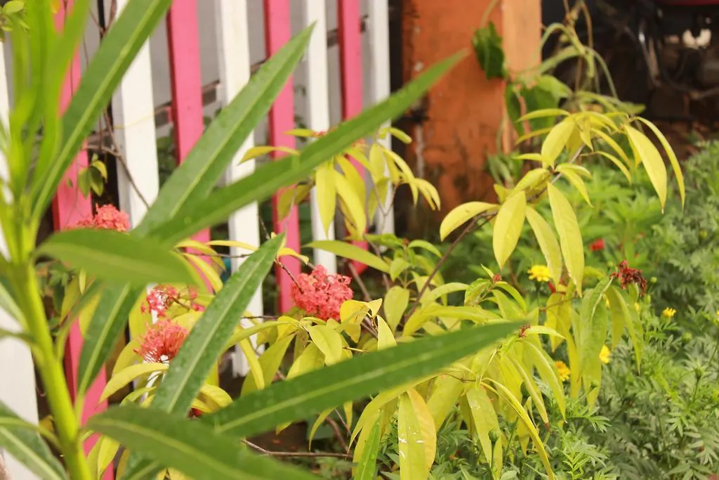 Nanni Backpackers Hostel Alappuzha 0*,  Ινδία